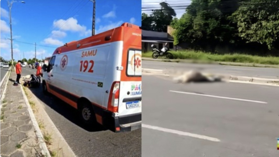 Motociclista e passageiro se envolvem em acidente com animal na Estrada do Araçagy
