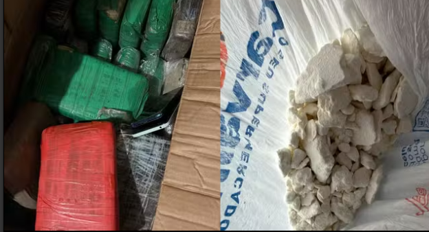 Operação Policial Apreende Maconha e Cocaína em Suposto Estúdio de Depilação no Parque Piauí
