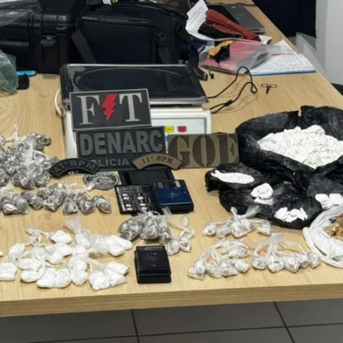 Polícia Militar Apreende 3 kg de Drogas Escondidos em Árvore em Timon