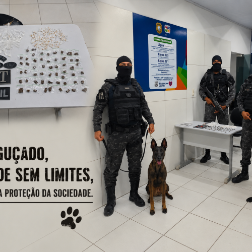 Recém-implantado na última sexta-feira, serviço de CANIL da PM já apresenta resultados em apreensão de drogas em Timon