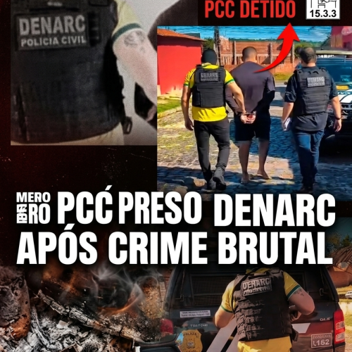 Reprodução - Portal Cocais 