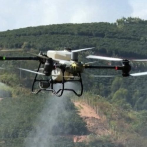 Tribunal mantém proibição de agrotóxicos por via aérea em cidade do interior do Maranhão