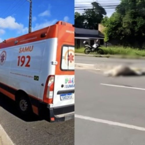 Motociclista e passageiro se envolvem em acidente com animal na Estrada do Araçagy