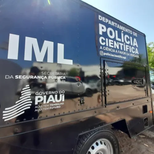 Mulher é morta dentro de casa e filho acaba detido suspeito do crime em Teresina