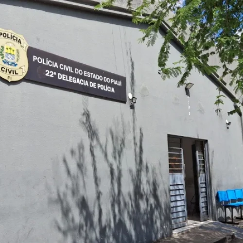 Polícia Apreende Adolescente Suspeito de Planejar Atentado contra Escola em Teresina