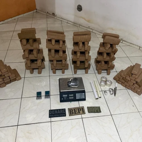Depósito de drogas é descoberto e polícia apreende cerca de 100 kg de maconha em Teresina