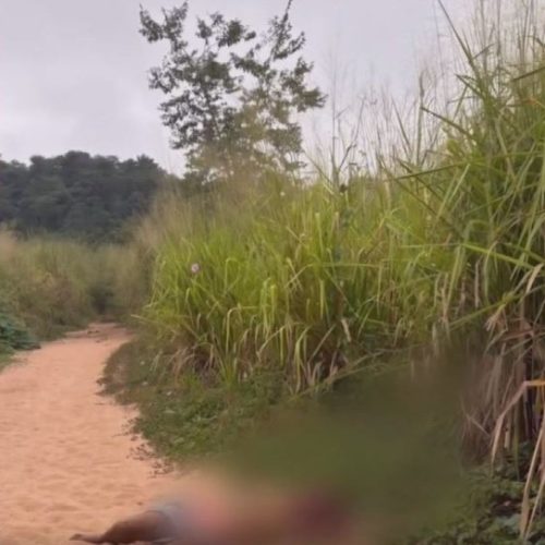 Mulher é assassinada e encontrada sem roupas em área isolada de Grajaú