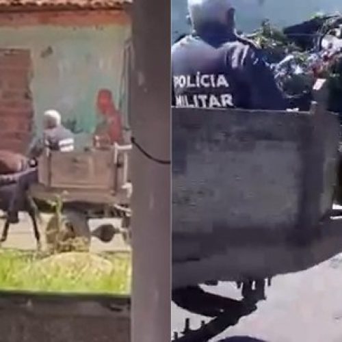 Polícia leva jumento à delegacia após prisão de carroceiro por crime ambiental em cidade do MA