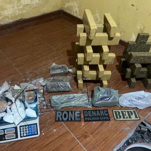 Polícia desmonta esconderijo de drogas e apreende cerca de 20 quilos de entorpecentes em Teresina