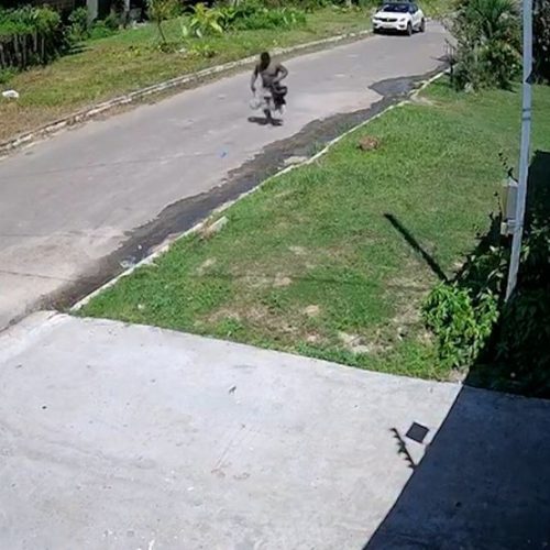 Preso foge de unidade prisional e é recapturado após buscas em Itapecuru-Mirim