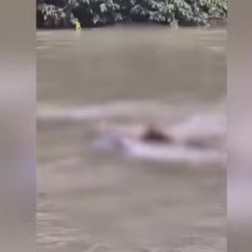 Homem que estava desaparecido é encontrado morto às margens do Rio Itapecuru, em Caxias